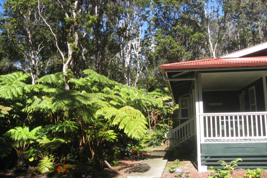 ../image/volcano cottage in volcano 1.jpg